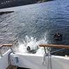 Picture taken during the dive