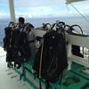 Picture taken during the dive
