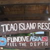 Picture taken during the dive