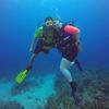 Picture taken during the dive