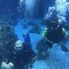 Picture taken during the dive