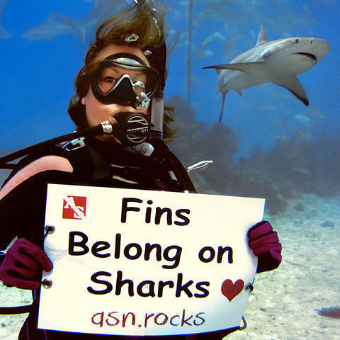 Adventure Sports Newmarket Inc. - Dive Shop in Canadá