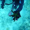 Picture taken during the dive