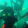 Picture taken during the dive