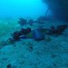 Picture taken during the dive