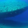 Picture taken during the dive