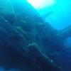 Picture taken during the dive