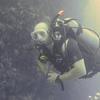 Picture taken during the dive