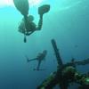 Picture taken during the dive
