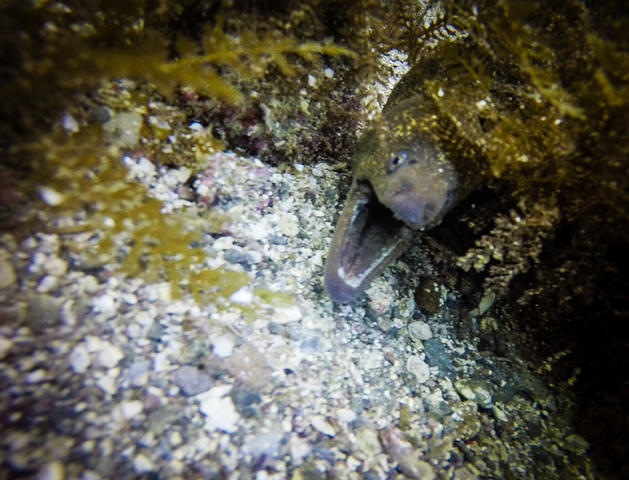 Eco Dive Center - Dive Center in United States