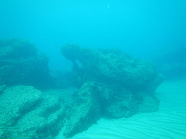 Coral Bay Divers - Dive Center