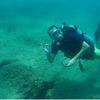 Picture taken during the dive