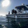 Picture taken during the dive
