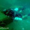 Picture taken during the dive