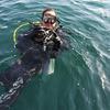 Picture taken during the dive