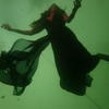 Picture taken during the dive