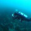 Picture taken during the dive