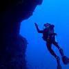 Picture taken during the dive