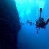 Picture taken during the dive