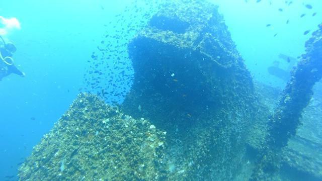 Diving in Sri Lanka, Colombo - By Tom Griffith
