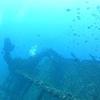 Picture taken during the dive