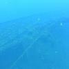 Picture taken during the dive