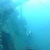 Picture taken during the dive
