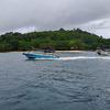 Picture taken during the dive