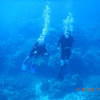 Picture taken during the dive
