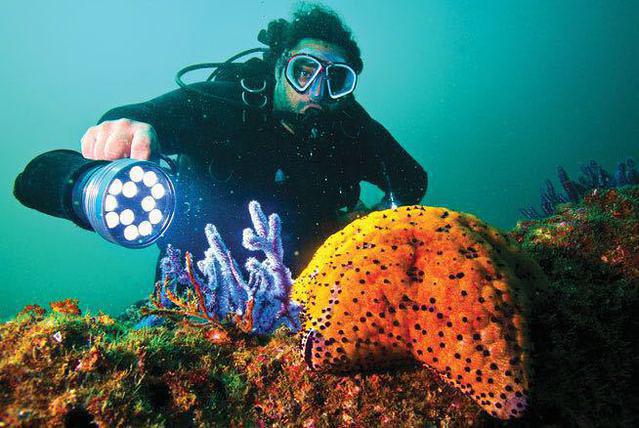 Bamboo Reef - Dive Center in United States