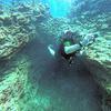 Picture taken during the dive