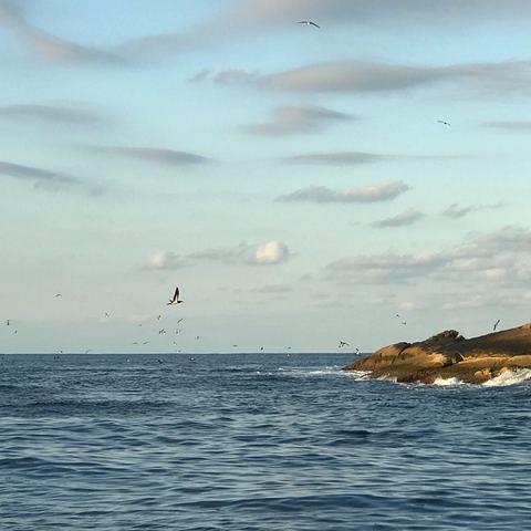 Pé De Pato - Dive Center in Brazil