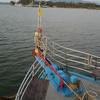Picture taken during the dive