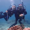 Picture taken during the dive