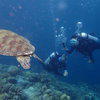 Picture taken during the dive