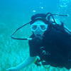 Picture taken during the dive