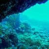 Picture taken during the dive