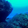 Picture taken during the dive
