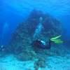 Picture taken during the dive