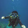 Picture taken during the dive