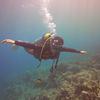 Picture taken during the dive