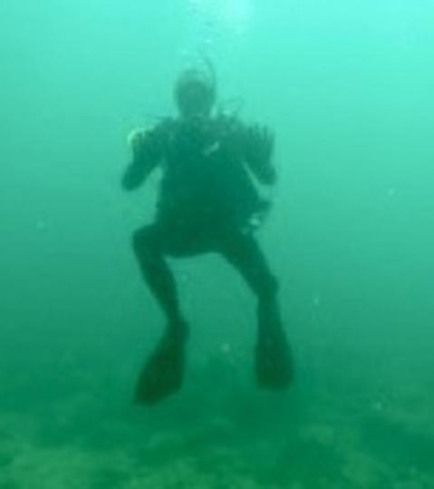 Sea Experience - Dive Center in United States