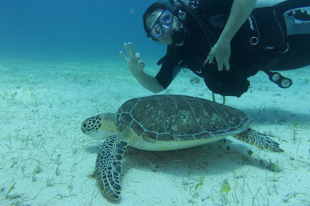 Aqua Adventure - Dive Center in Puerto Rico