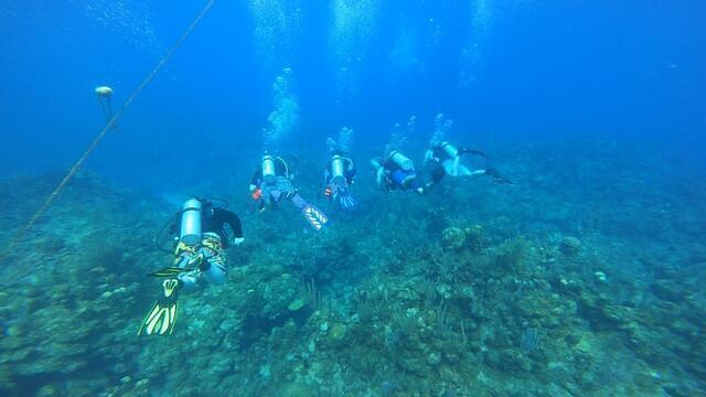 Diving in Honduras, Roatan - By Mr.Red