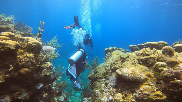 Diving in Honduras, Roatan - By Mr.Red