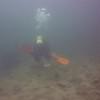 Picture taken during the dive