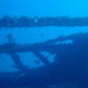 Picture taken during the dive