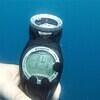 Picture taken during the dive
