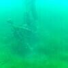 Picture taken during the dive