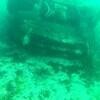 Picture taken during the dive